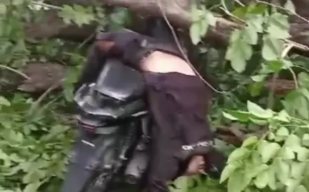 Pemotor Asal Pasuruan Tewas Usai Tertimpa Pohon Tumbang