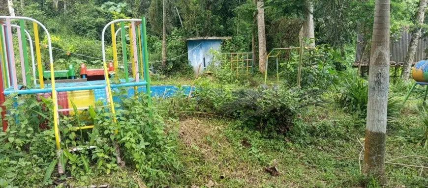 Sepi Pengunjung, Wisata Rawa Indah Almour di Bondowoso Kini Terbengkalai