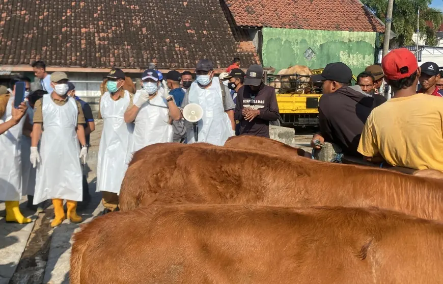 Kehabisan Vaksin PMK, Pemkab Jombang Belum Mau Tutup Pasar Hewan