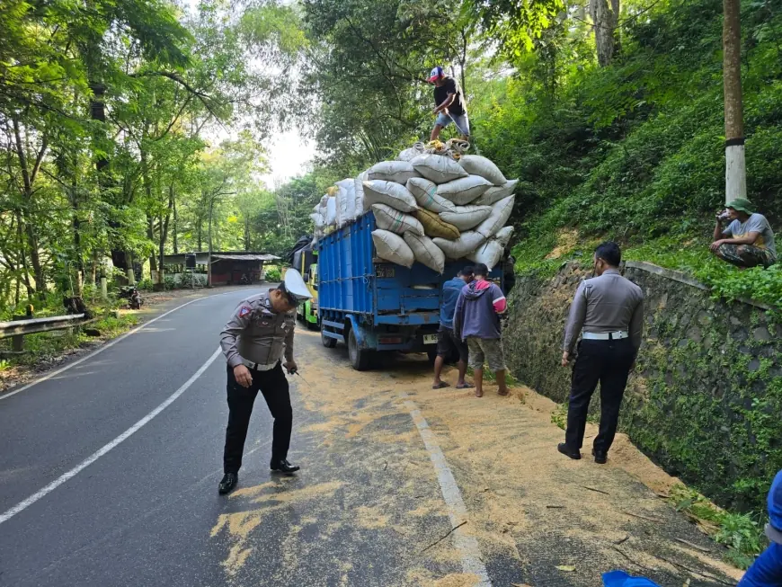 Diduga Sopir Mengantuk, Truk Bermuatan Sekam Terguling di Jalur Wisata Payung