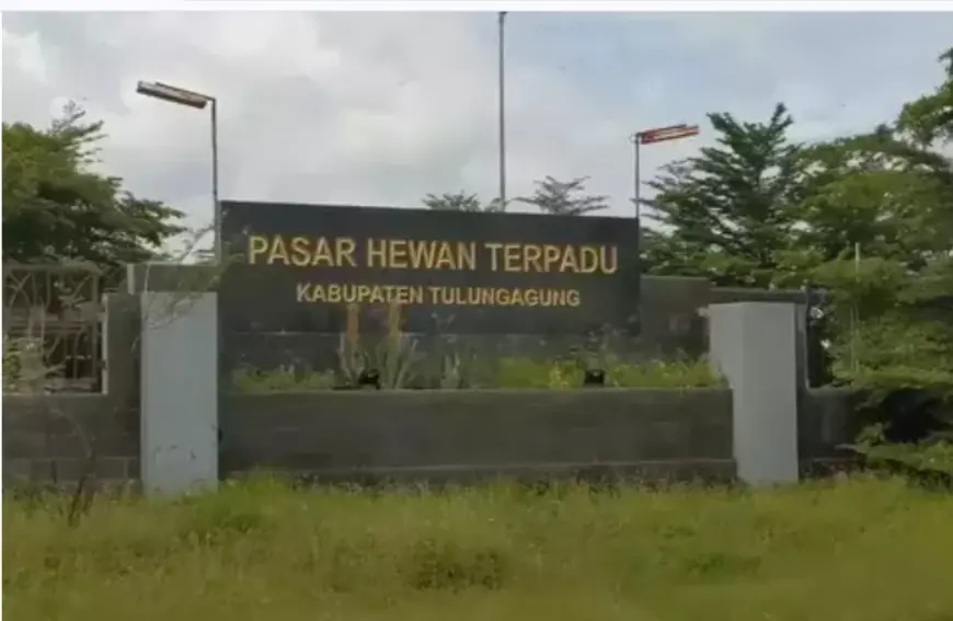 Cegah Penyebaran  PMK, Pemkab  Tulungagung Tutup Pasar Hewan