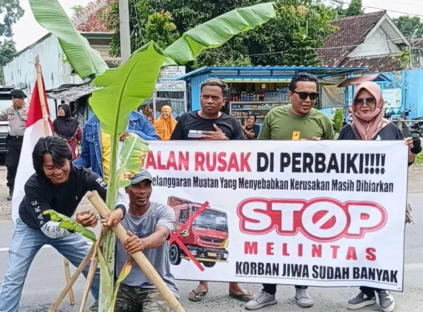 Aksi Warga Kencong Tanam Pisang di Jalan Provinsi, Tuntut Pemerintah Tindak Truk ODOL