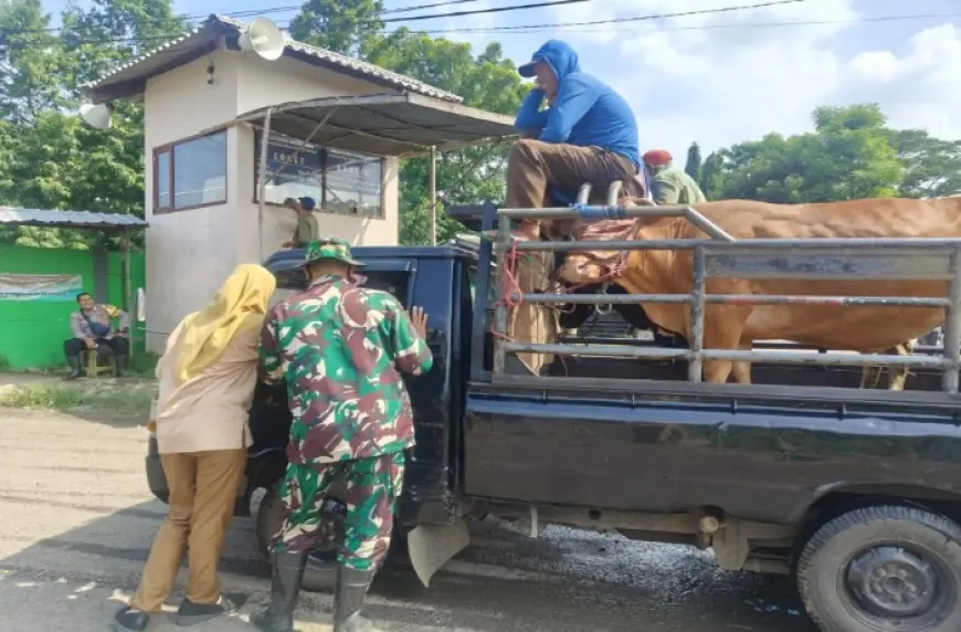 Lebih Pilih Perketat Pengawasan, Pemkot Probolinggo Enggan Tutup Pasar Hewan