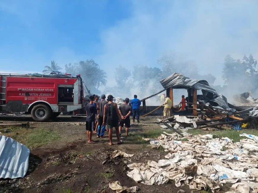 Kandang Ayam di Jember Ludes Terbakar, Kerugian Capai Miliaran