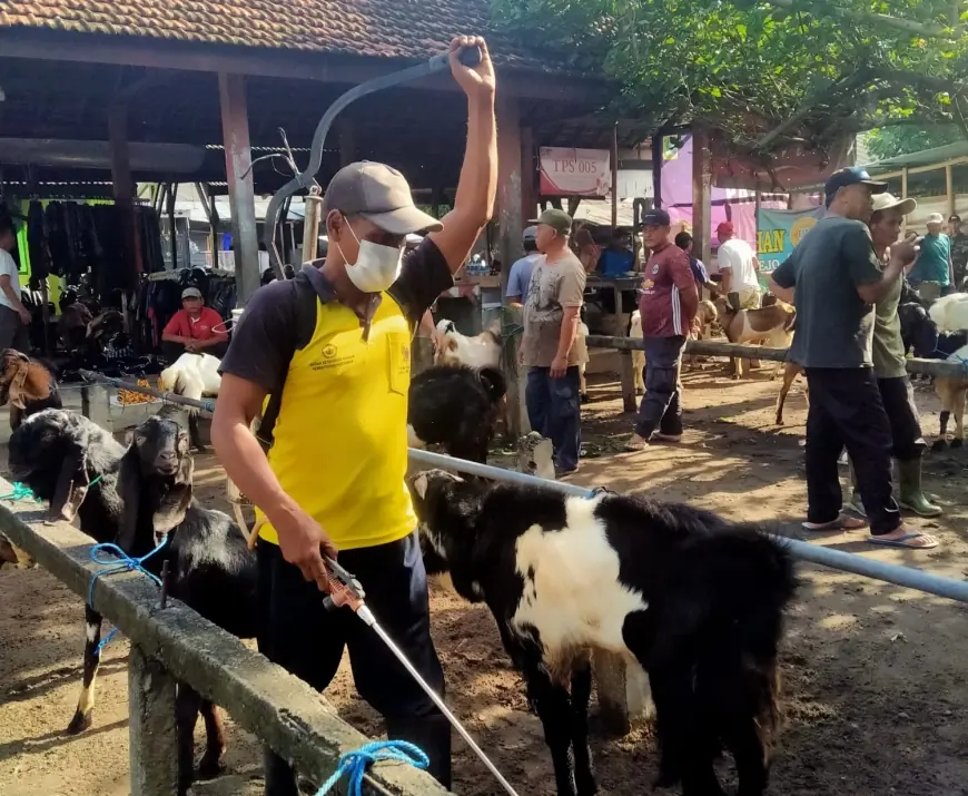 Cegah Wabah PMK, Pemkot Kediri Semprot Pasar Hewan dengan Disinfektan