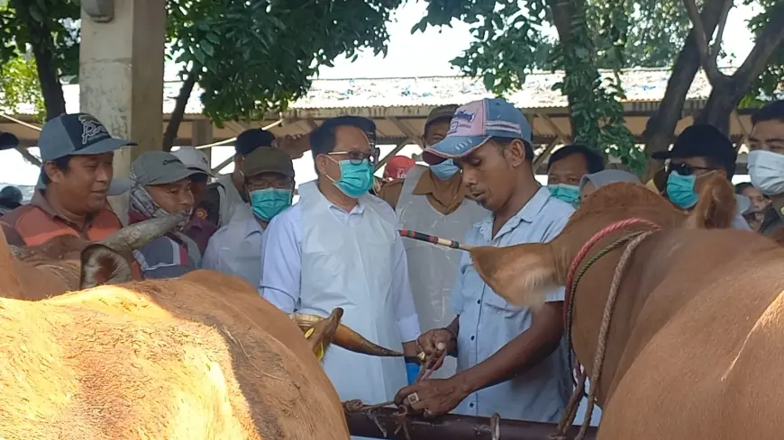 Minim Kasus PMK, Pj Gubernur Jatim Pastikan Pasar Hewan Kota Probolinggo Tetap Beroperasi