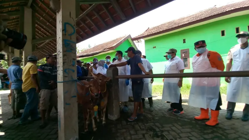 Wabah PMK Merebak Lagi: Pemprov Jatim Siapkan Vaksin dan Perketat Mobilisasi Ternak