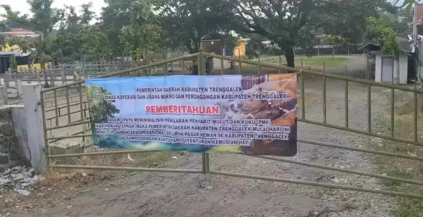 Wabah PMK Tembus 541 Kasus, Pemkab Trenggalek Tutup 7 Pasar Hewan