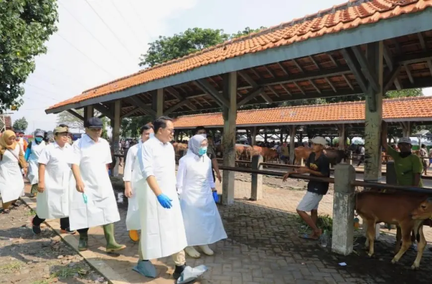 Populasi Sapi Capai 4 Ribu, DPRD Kota Probolinggo Desak Tambahan Bantuan Vaksin