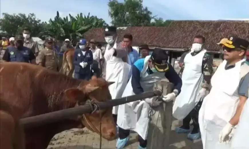 Pemkab Jombang Tutup Pasar Hewan hingga 1 Februari 2025