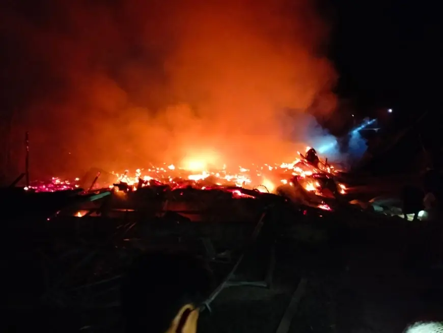 Kandang Berisi 11 Ribu Ekor Ayam Potong di Sampang Hangus Terbakar
