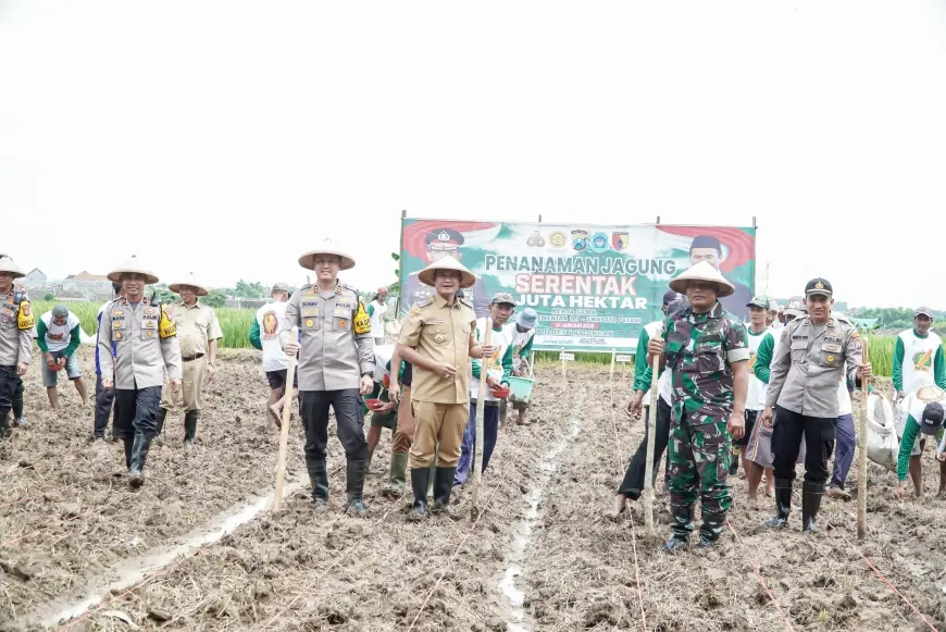 Pemkab Lamongan Targetkan 56 Hektare Lahan Jagung untuk Swasembada Pangan