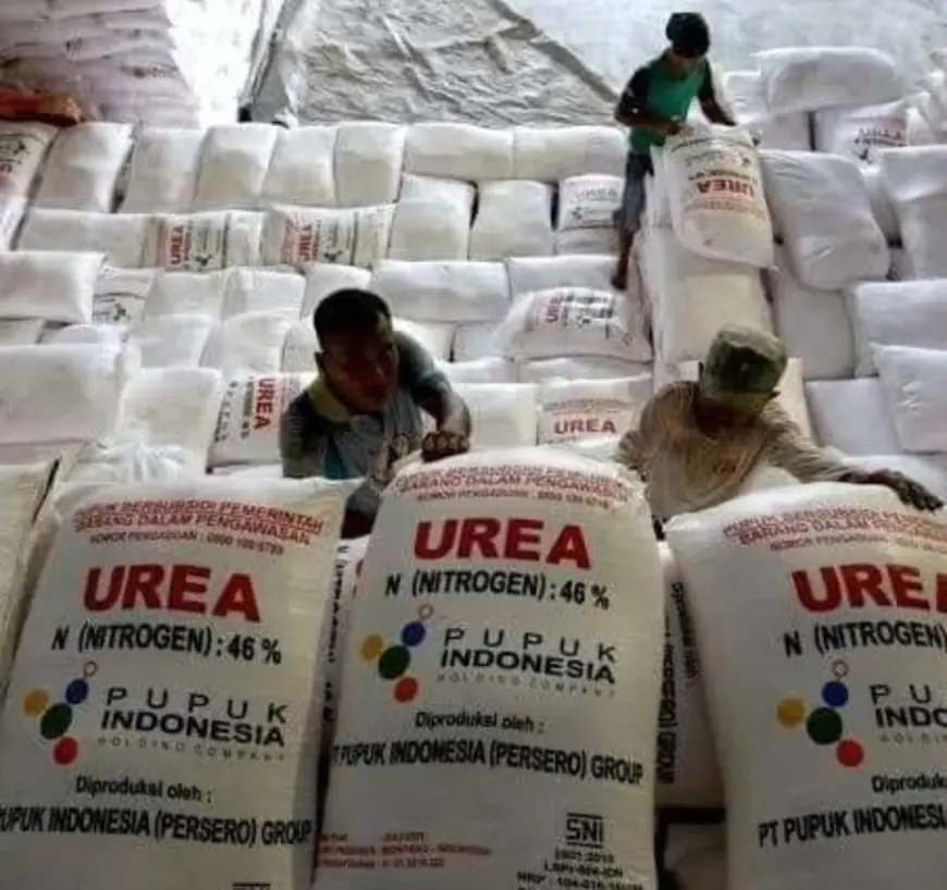 Harga Pupuk di Kota Batu Mencekik Petani