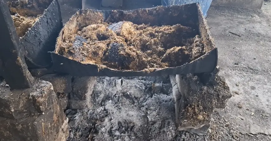 Walhi Jatim Desak Pemerintah Tindak Tegas Pencemaran Lingkungan di Nganjuk