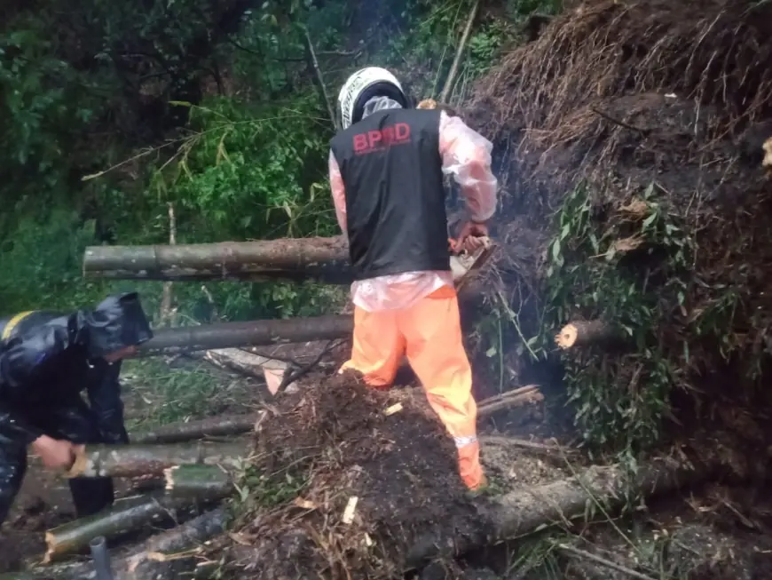 Tanah Longsor di Jalur Provinsi Malang-Kediri Sebabkan Kemacetan Total