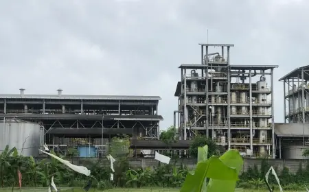 DLH Mojokerto Minta PT Enero Berhenti Produksi untuk Tanggulangi Polusi Bau