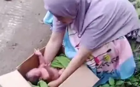 Warga Jombang Temukan Kardus Berisi Bayi Laki-Laki