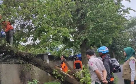 Waspada Cuaca Ekstrem, Angin Kencang Ancam Keselamatan Warga Kota Batu
