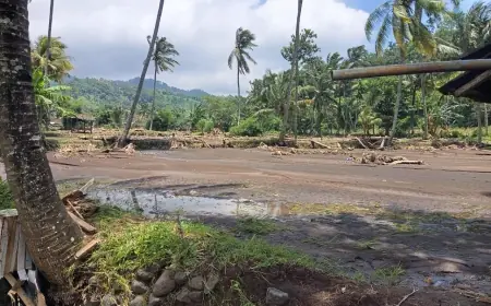 Banjir Bandang di Desa Wonoboyo Gulung 50 Hektare Lahan Warga
