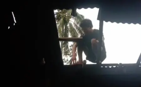 Dua Kawasan di Malang Terdampak Angin Kencang, Sebabkan Pohon Tumbang dan Putus Aliran Listrik