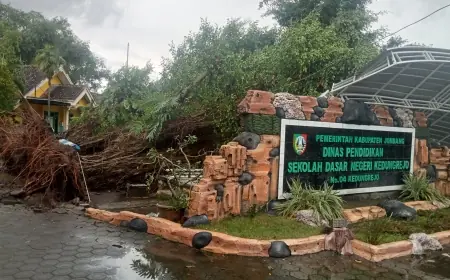 Pohon Beringin Roboh Timpa Panggung Teater Sekolah SD di Jombang Usai Angin Kencang Disertai Hujan