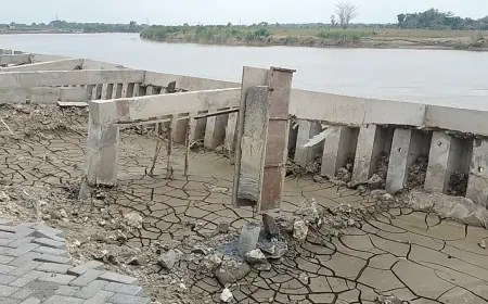 BPK Soroti Ambrolnya Tanggul Senilai Rp40 Miliar di Bojonegoro