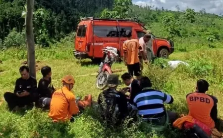 Dua Pendaki yang Terjebak di Gunung Argopuro, Berhasil Dievakuasi BPBD Probolinggo
