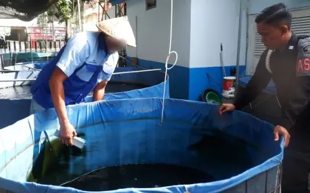 Melihat dari Dekat Budidaya Lele di Lapas Mojokerto