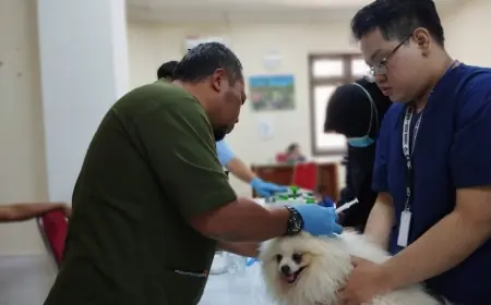 Peringati HPN 2025, PWI Malang Raya Bersama PDHI 2 Jatim akan Gelar Pemeriksaan Hewan Gratis di CFD