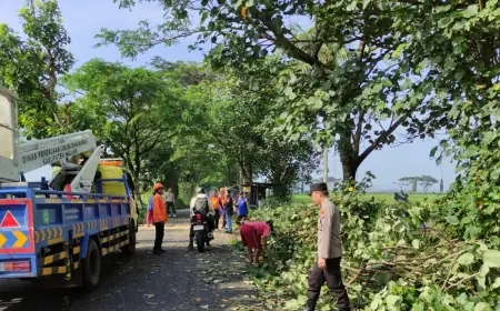 Pohon Tumbang di Kepanjen Malang Timpa Siswa hingga Alami Luka