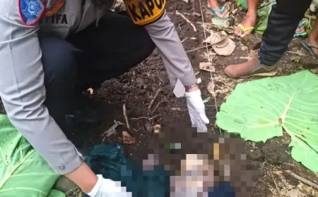 Jember Didera Kasus Penemuan Bayi, Setelah Semboro Sekarang Ambulu