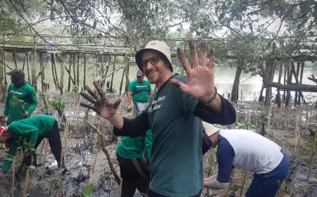 Akar Kecil, Dampak Besar: Wisma Jerman dan Gerakan Seribu Mangrove di Surabaya