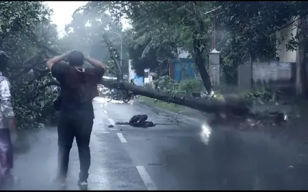 Kecelakaan Tunggal, Pelajar di Nganjuk Meninggal Usai Tabrak Pohon Tumbang