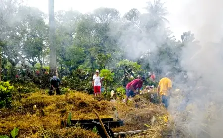Tradisi Gugur Gunung di Malang: Merawat Warisan, Menjalin Kebersamaan