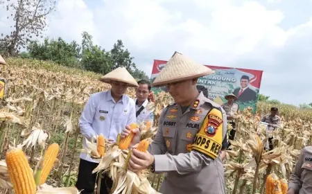 Sinergi Polri dan Petani di Lamongan Wujudkan Ketahanan Pangan Nasional