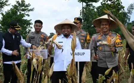 Panen Jagung di Bondowoso Jadi Bukti Sinergi Pemerintah dan Polri dalam Wujudkan Ketahanan Pangan