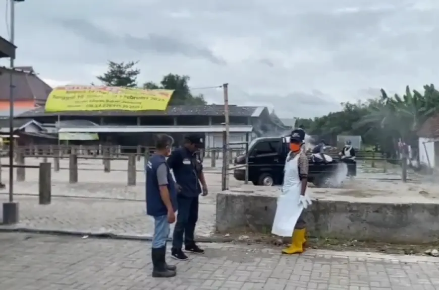 Vaksinasi PMK di Jombang Capai 100 Persen, Angka Kasus Masih Tinggi