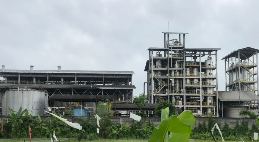 DLH Mojokerto Minta PT Enero Berhenti Produksi untuk Tanggulangi Polusi Bau