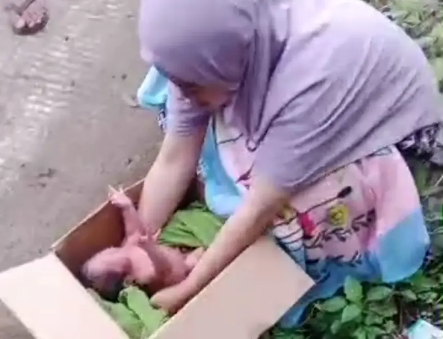 Warga Jombang Temukan Kardus Berisi Bayi Laki-Laki
