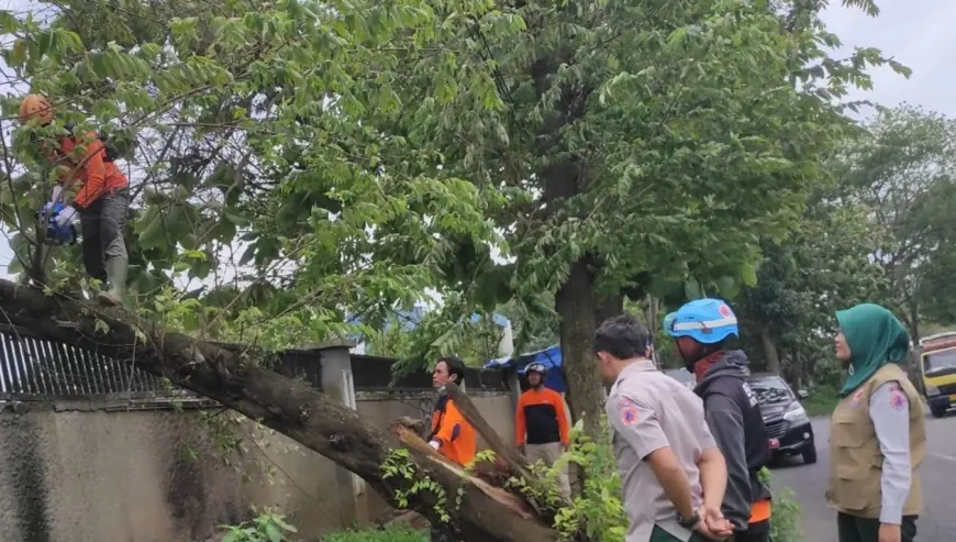 Waspada Cuaca Ekstrem, Angin Kencang Ancam Keselamatan Warga Kota Batu