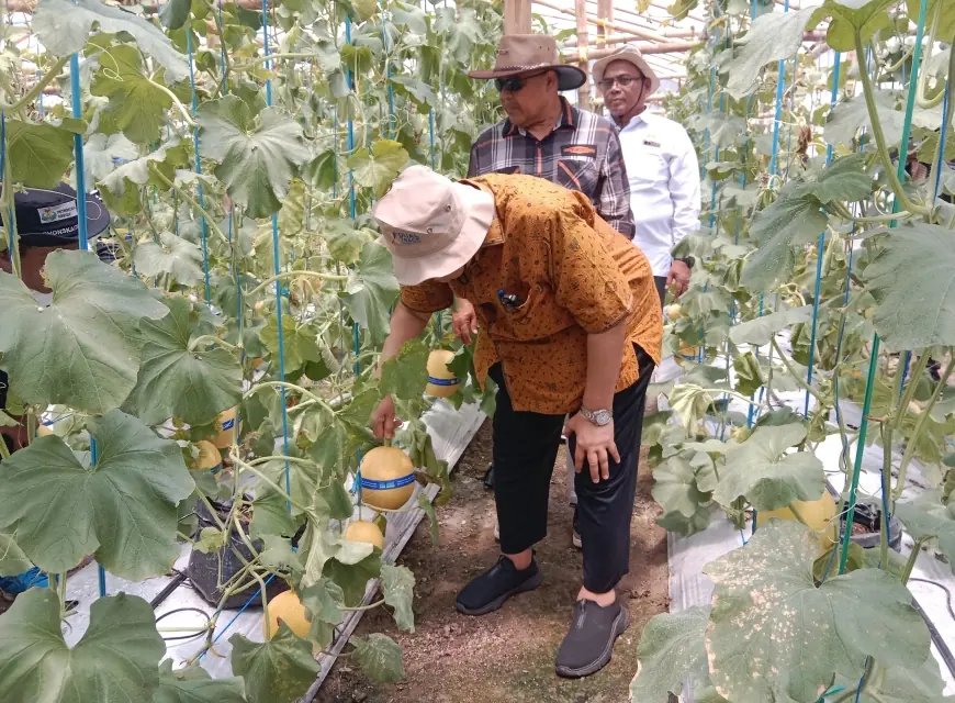 SMK Budi Utomo Jombang Adopsi Sistem IoT Budidaya Smart Farming Buah Melon