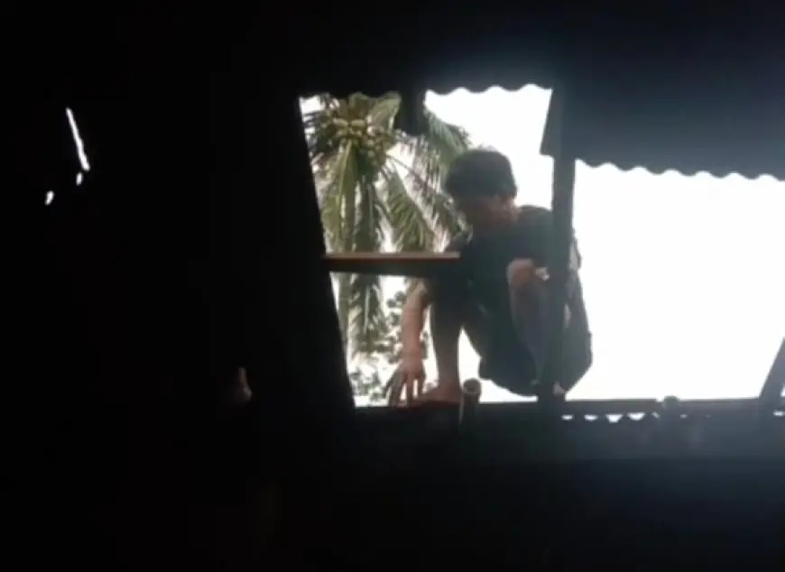 Dua Kawasan di Malang Terdampak Angin Kencang, Sebabkan Pohon Tumbang dan Putus Aliran Listrik