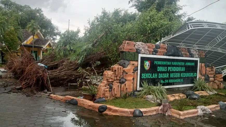 Pohon Beringin Roboh Timpa Panggung Teater Sekolah SD di Jombang Usai Angin Kencang Disertai Hujan
