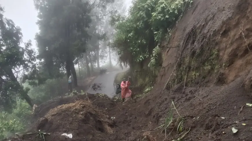 Tanah Longsor di Ngadas Malang Tutup Jalur Akses Menuju Bromo