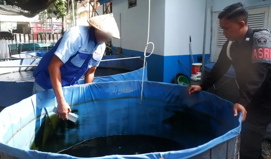 Melihat dari Dekat Budidaya Lele di Lapas Mojokerto