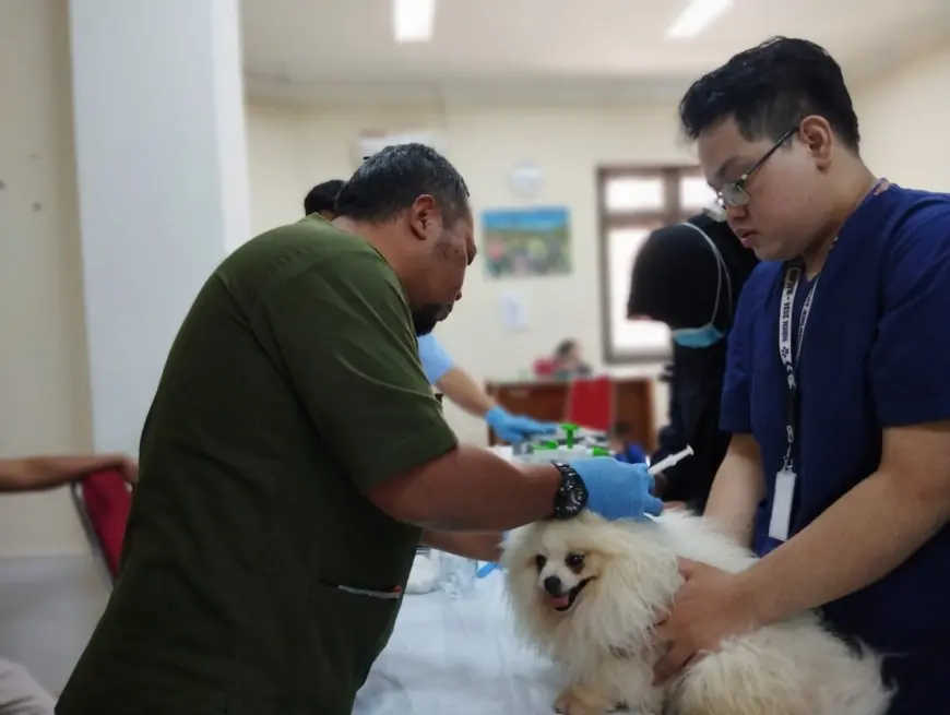 Peringati HPN 2025, PWI Malang Raya Bersama PDHI 2 Jatim akan Gelar Pemeriksaan Hewan Gratis di CFD