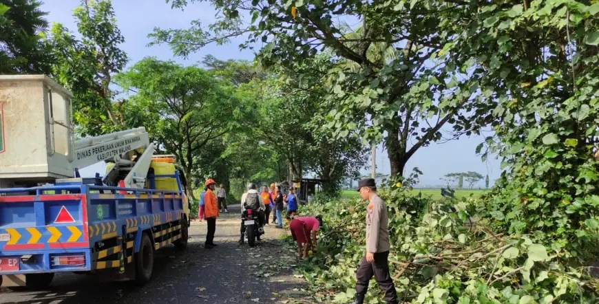 Pohon Tumbang di Kepanjen Malang Timpa Siswa hingga Alami Luka