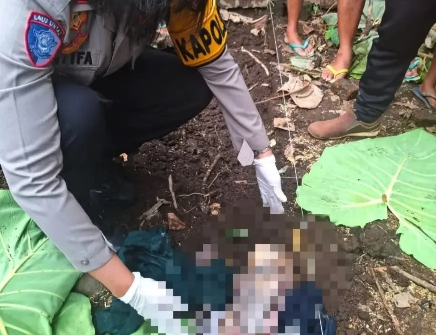 Jember Didera Kasus Penemuan Bayi, Setelah Semboro Sekarang Ambulu
