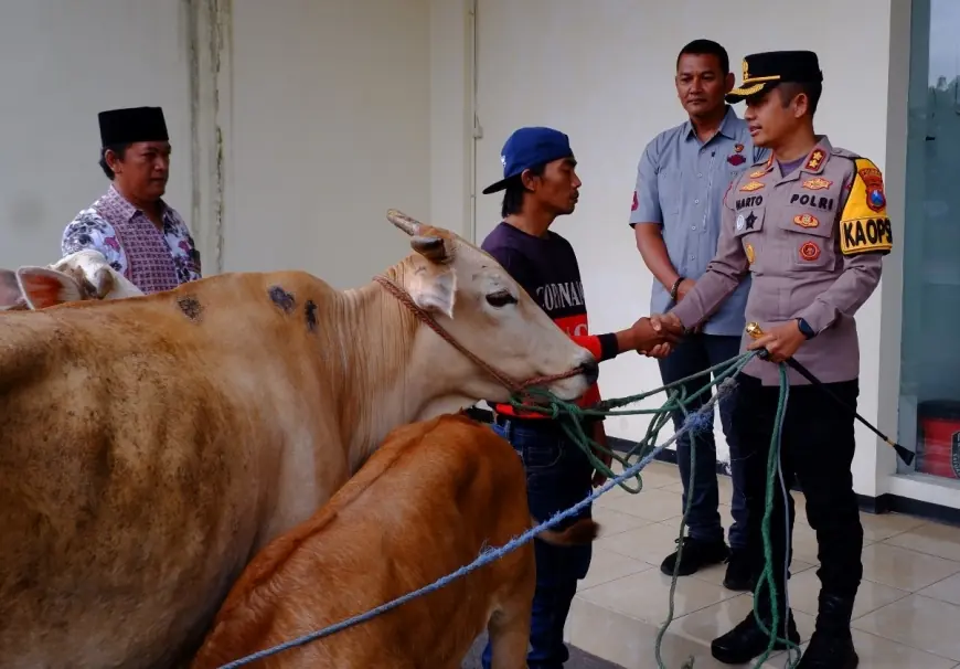 Kapolres Bondowoso Kembalikan Sapi Curian, Warga : Terima Kasih Pak Polisi