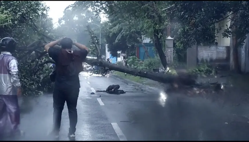 Kecelakaan Tunggal, Pelajar di Nganjuk Meninggal Usai Tabrak Pohon Tumbang